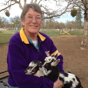 Meet your Posher, Linda